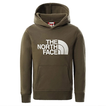 The North Face Sweat Hoodie Drew New Taupe Green